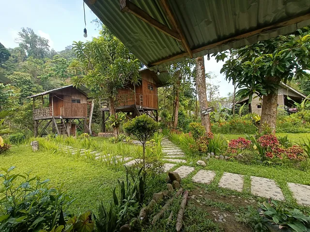 Bua guesthouse tangkahan