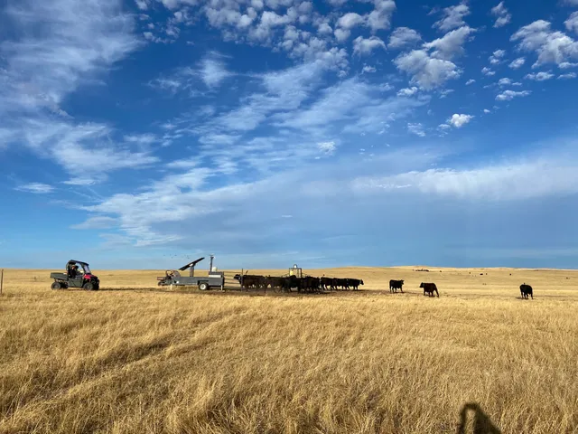 SDSU Cottonwood Field Station