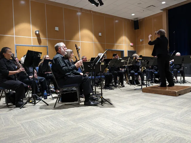 Vienna Theatre Company