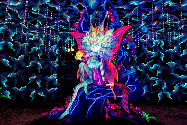 Tianyu Lights Festival Dallas