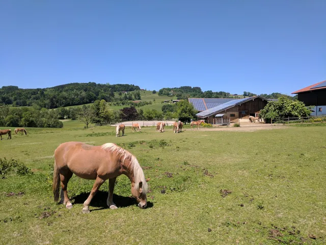 Fürstner Hof Sebastian Mayer