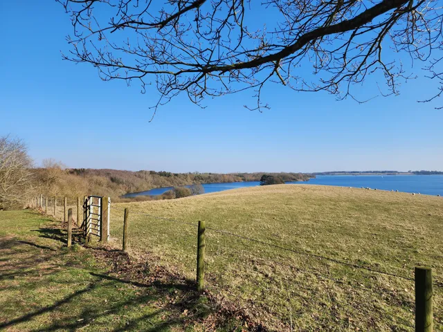 Barnsdale Wood Rutland Water