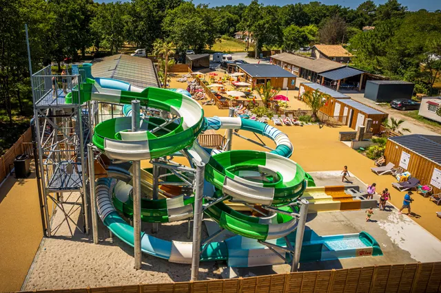 The edge of the wood***