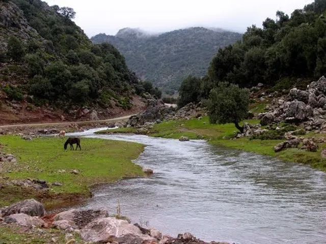 Auberge Admame à Tazekka