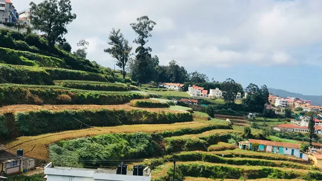 London cottage ooty