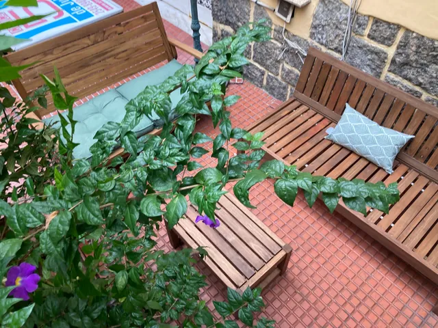 Chez Zany Boutique Hostel - Copacabana