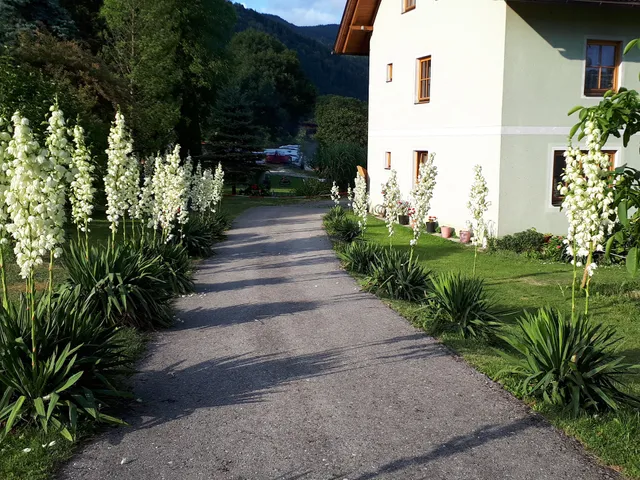 Stichauner Hannes Landwirt