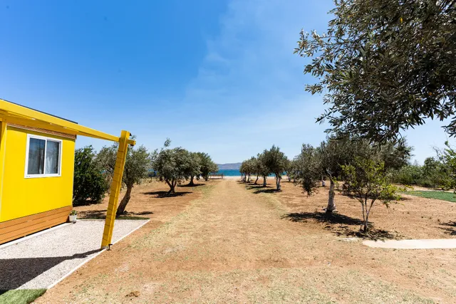 Olive Grove Villa by the Beach