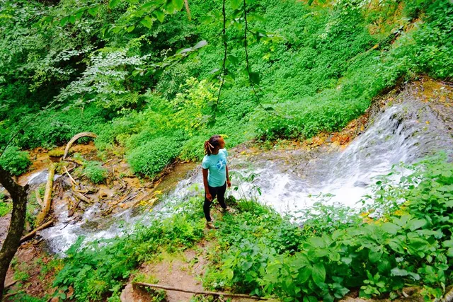 Philadelphia Community Farm