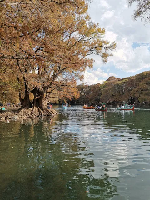 Restaurante Camecuaro