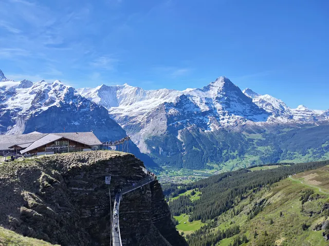 Grindelwald-First - Top of Adventure
