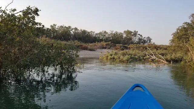 Mangrove Marine National Park