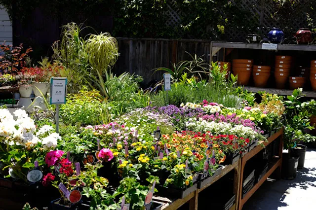 Sloat Garden Center