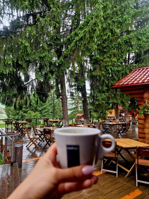 Pensiunea Cheile Olteţului