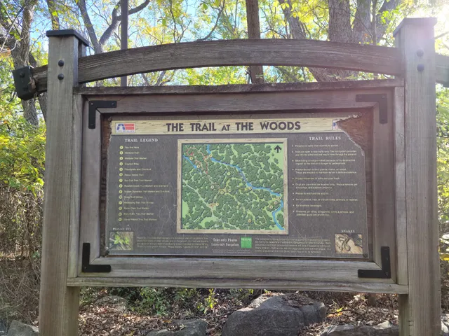 The Trail at the Woods