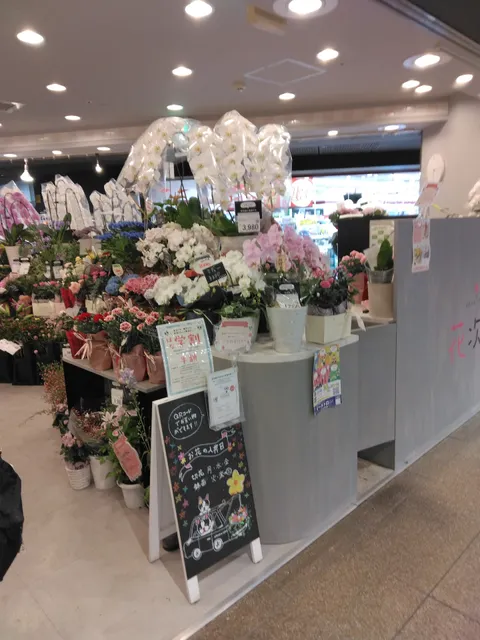 Hanajiro NAMBA Nannanmise Flower Shop