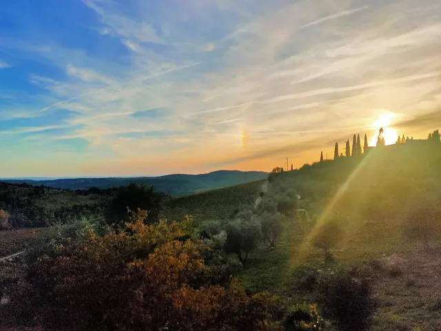 Melograno di Montefiorile in Montebuoni