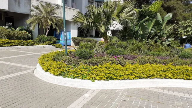 Lily Mansions, Whampoa Garden