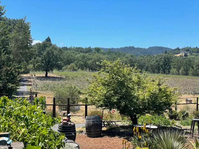 Russian River Vineyards