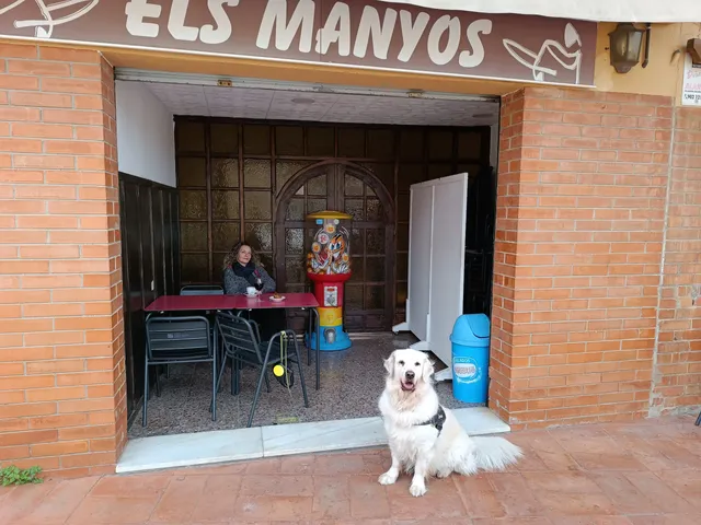 Restaurante Los Maños