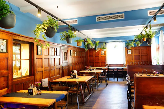 Steinlechner - genau meins...