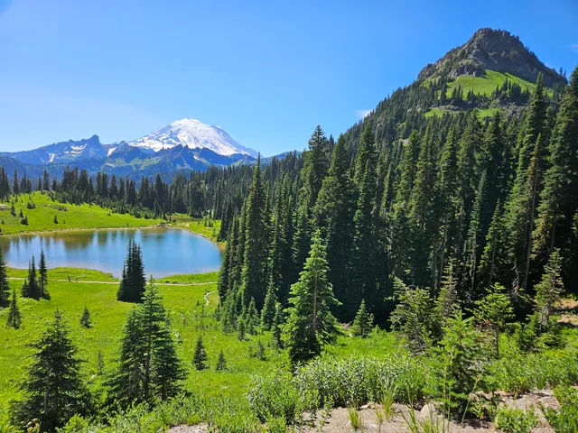 Naches Peak Loop Trailhead