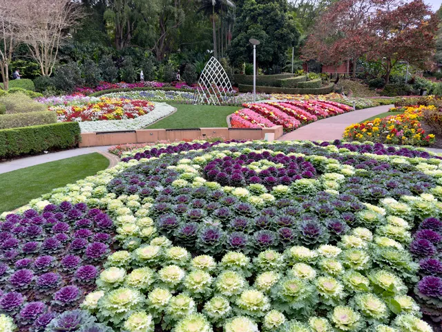 Spectacle Garden at Colin Campbell Place - Roma Street Parklands