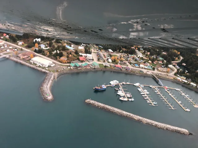 Treehouse Cove Lodge