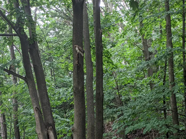 The Arc of Rensselaer County