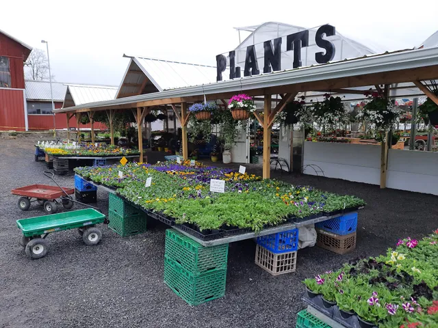 Crystal Valley Produce & Greenhouse