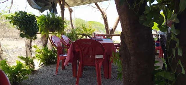 Pollos a la Leña González