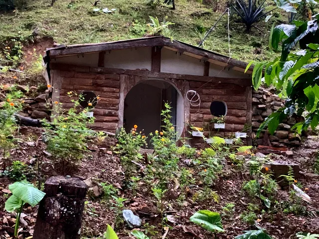 Kokol Hobbiton Forestay