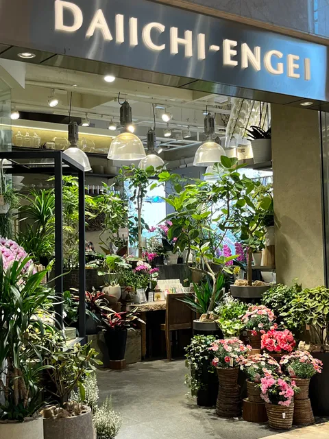 The Imperial Hotel Plaza