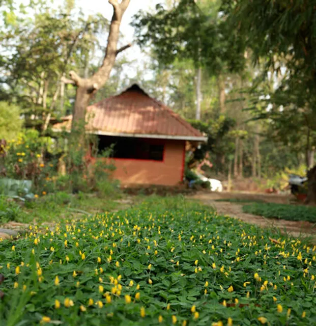 Pugmarks Jungle Resort