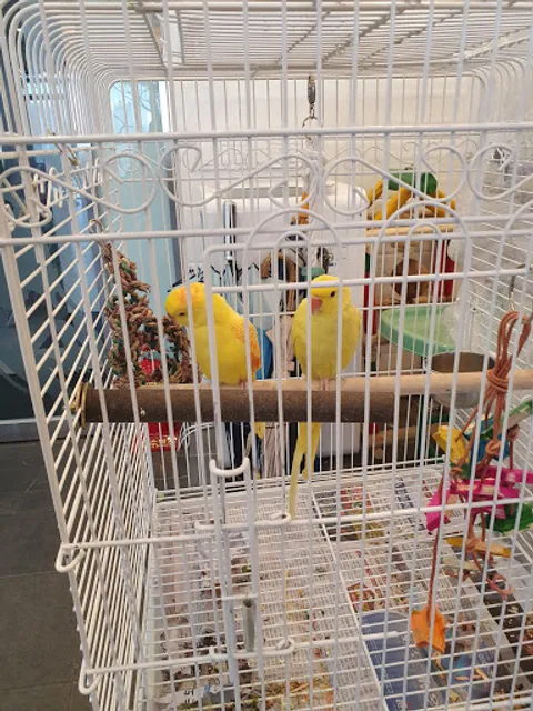 Bird Sori 앵무새카페