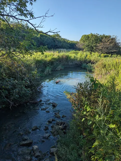 Mount Albion Conservation Area