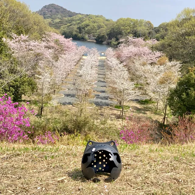 Labyrinth of Cherry Blossoms