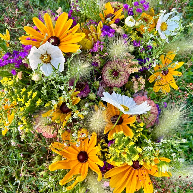 Stone Hearth Farm & Garden