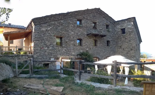 The Nut And The Witch