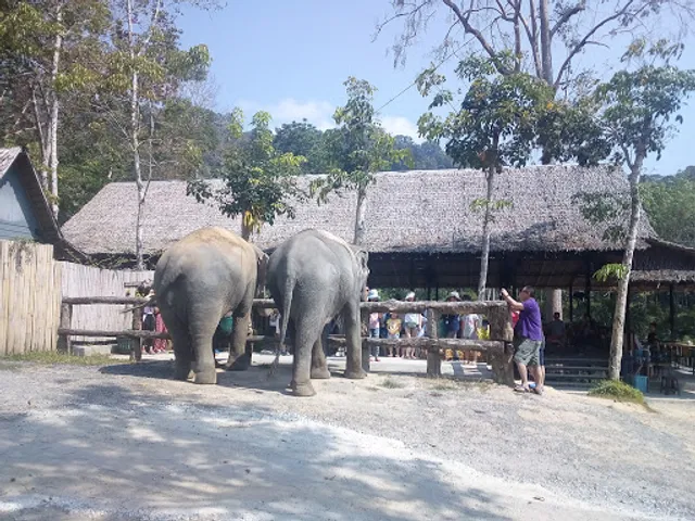 Phuket Elephant Sanctuary
