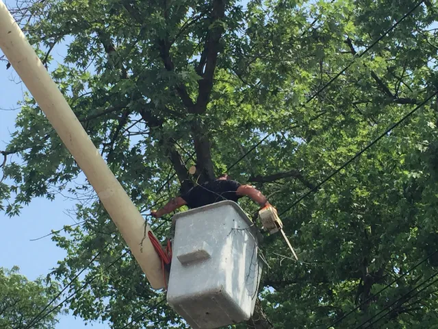 Owens Bros. Tree Service