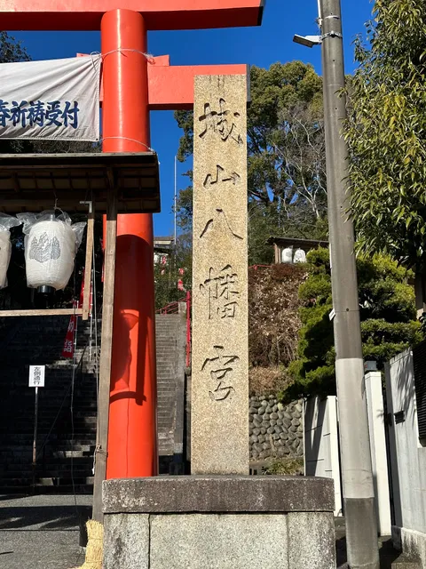 photo-1