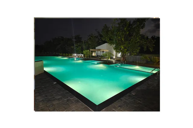 Foxtail Orchid, Kaziranga