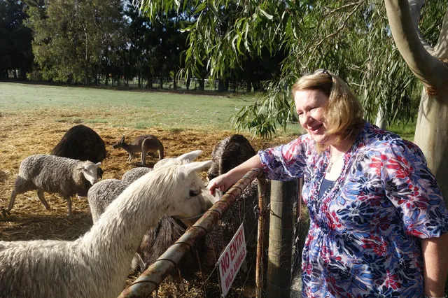 Enderslie House Bed & Breakfast & Farmstay