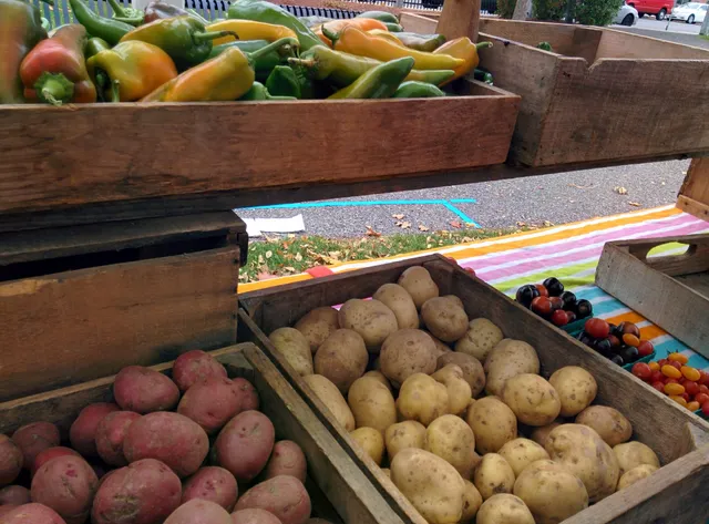 Stoneham Farmers Market