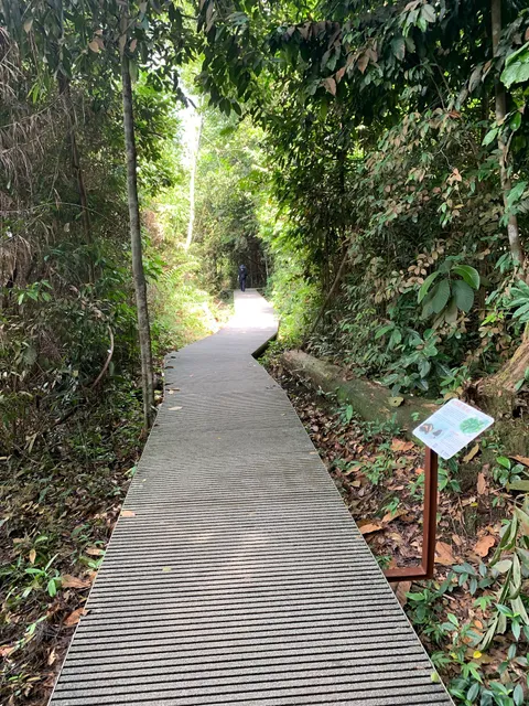 MacRitchie Prunus Trail