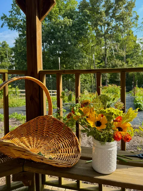 Signal Mountain Nursery