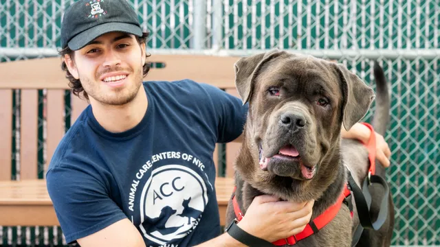 Animal Care Centers of NYC - Manhattan