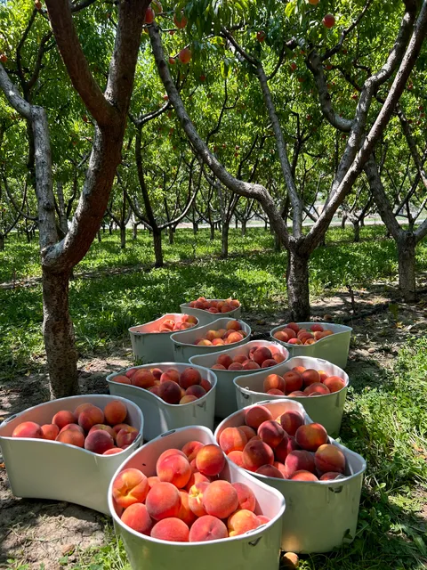 Smith Family Orchards