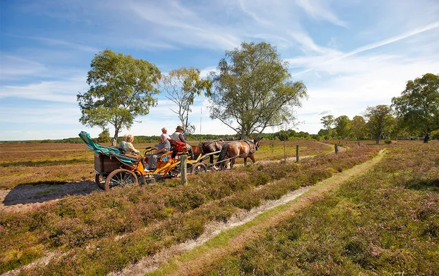 Klaus Meyer Kutschfahrten Lüneburger Heide